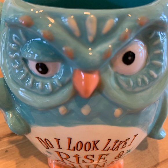 Cracker Barrel Stoneware Coffee Cup Owl Rise Shine Mug - Picture 9 of 10